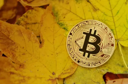 How Exactly Does Bitcoin Work?